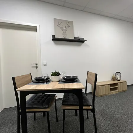 Apartment Simplex Am Schwabentorring